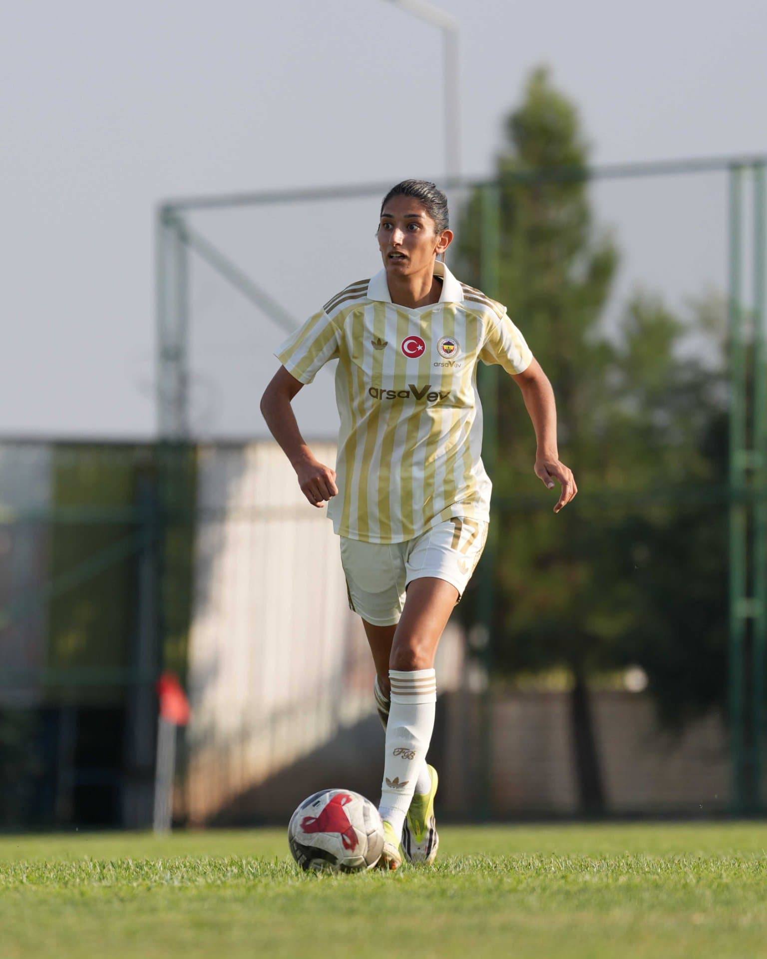 Amed Sportif Faaliyetler 0-3 Fenerbahçe arsaVev — 1
