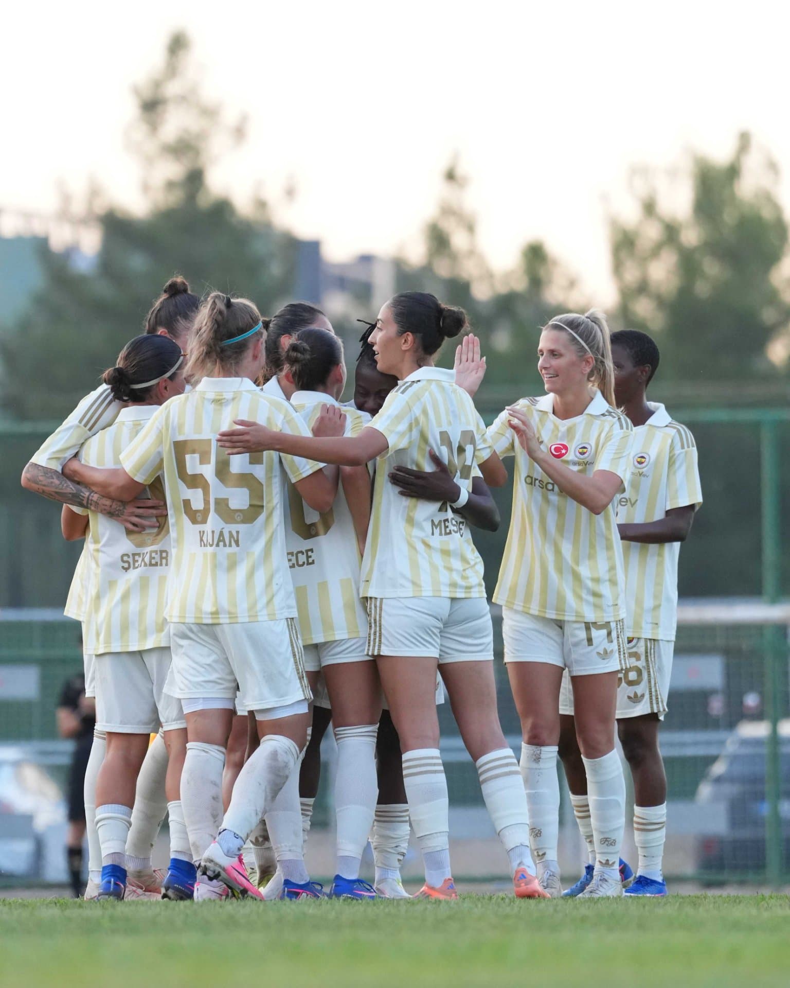 Amed Sportif Faaliyetler 0-3 Fenerbahçe arsaVev — 4