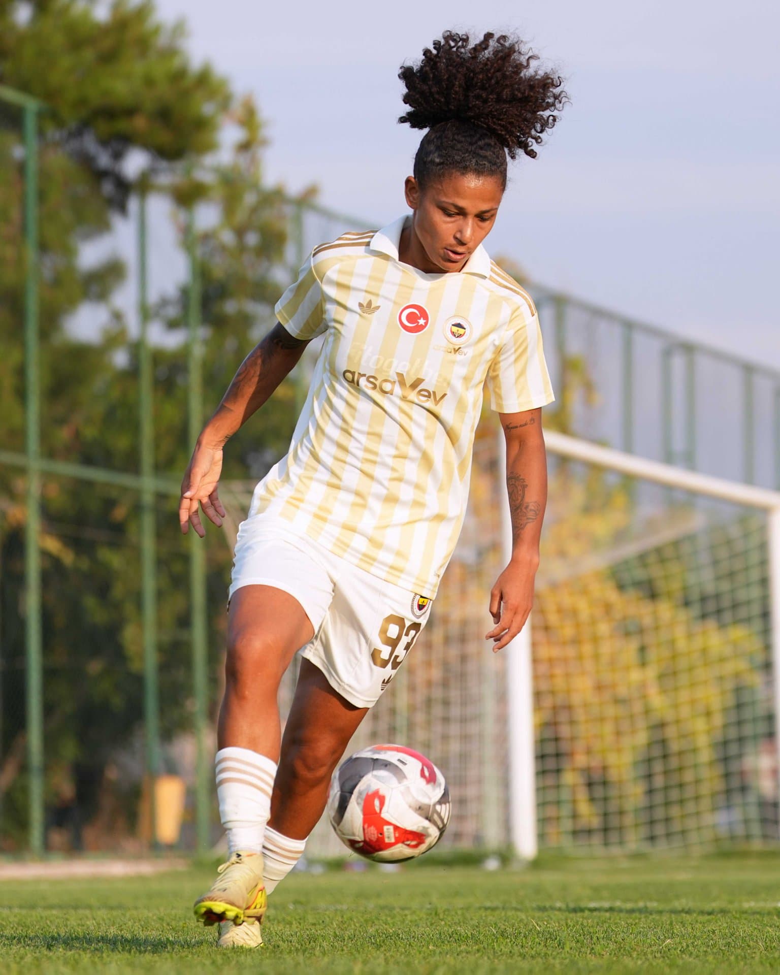 Amed Sportif Faaliyetler 0-3 Fenerbahçe arsaVev — 7