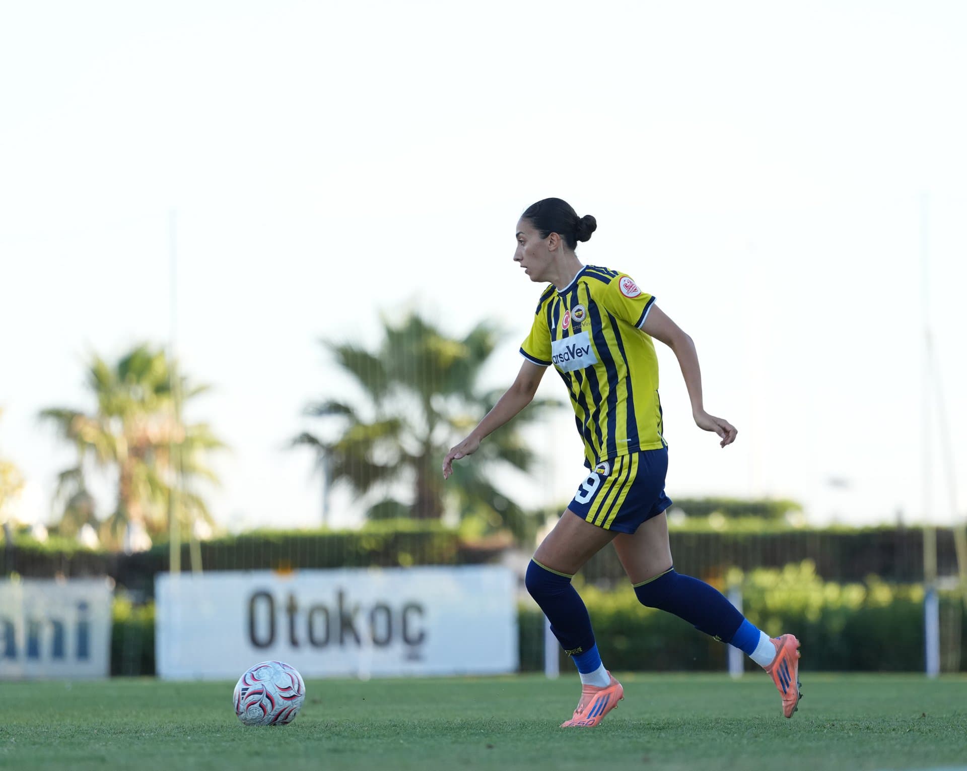 Fenerbahçe arsaVev 12-0 Şile Bilgidoğa — 1
