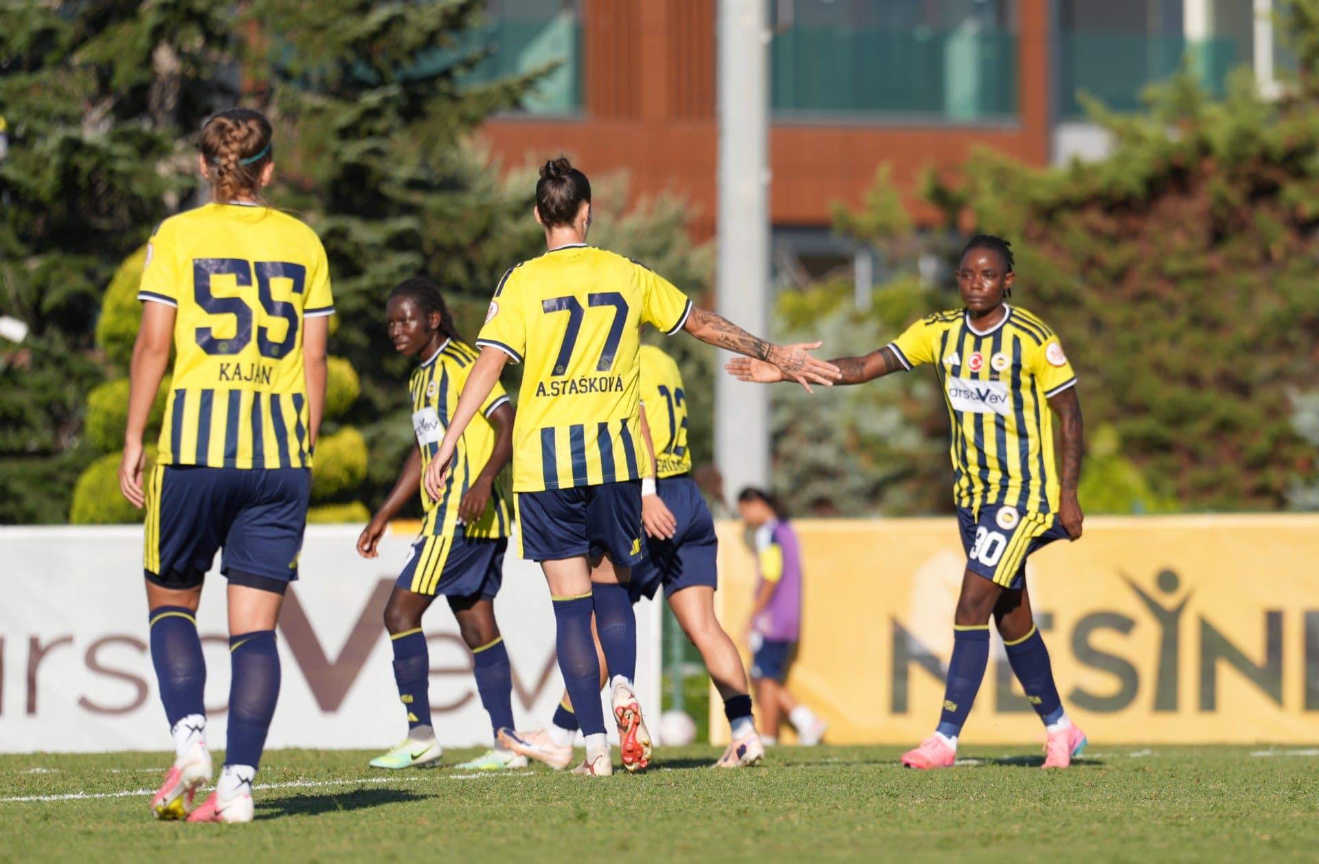 Fenerbahçe arsaVev 12-0 Şile Bilgidoğa — 7