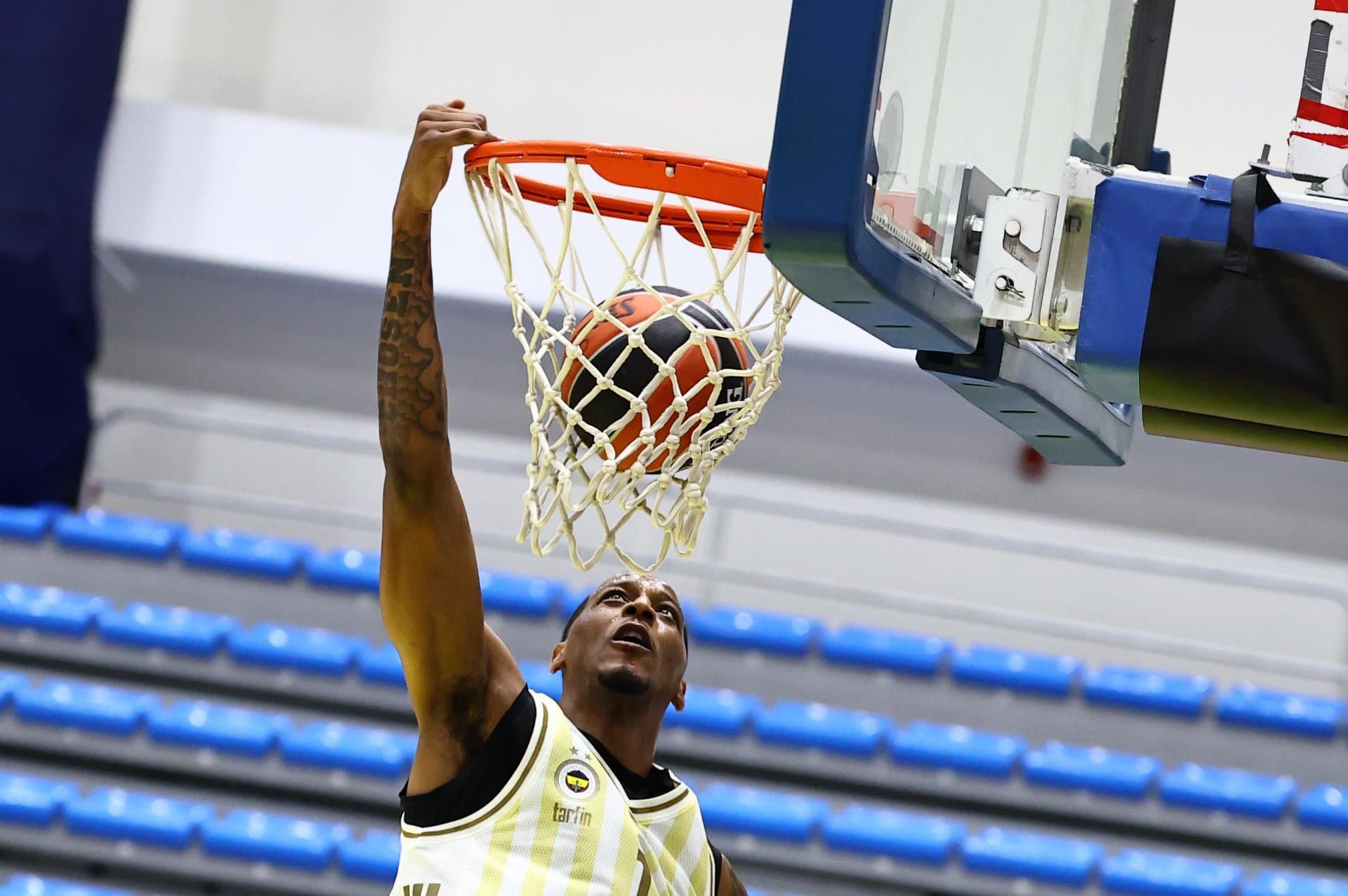 Fenerbahçe Tarfin 102-66 Balkan Botevgrad — 2