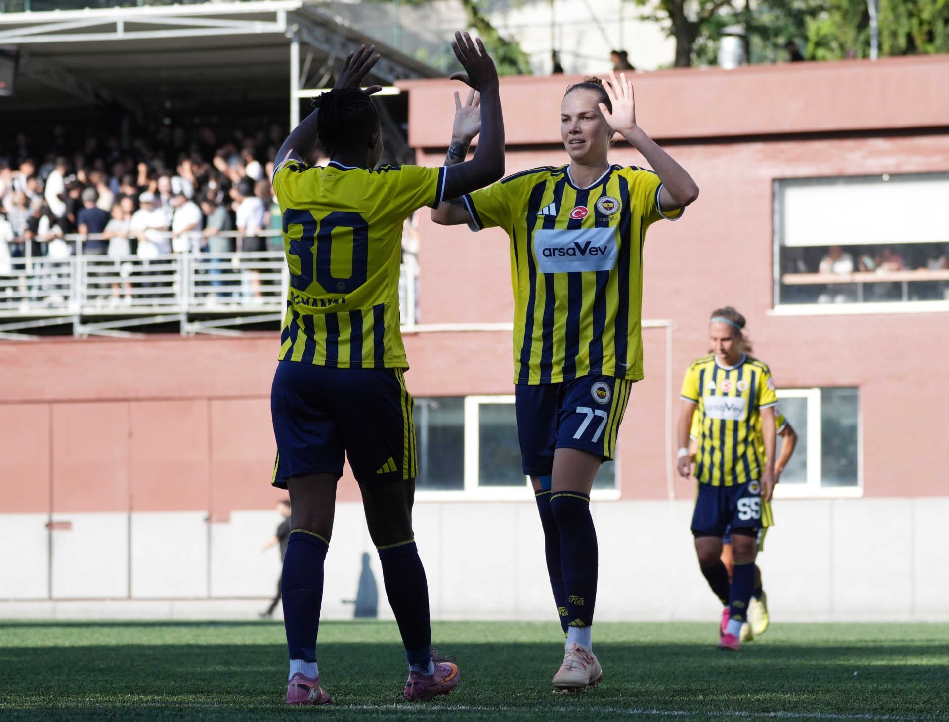 Beşiktaş 0-3 Fenerbahçe arsaVev — 3