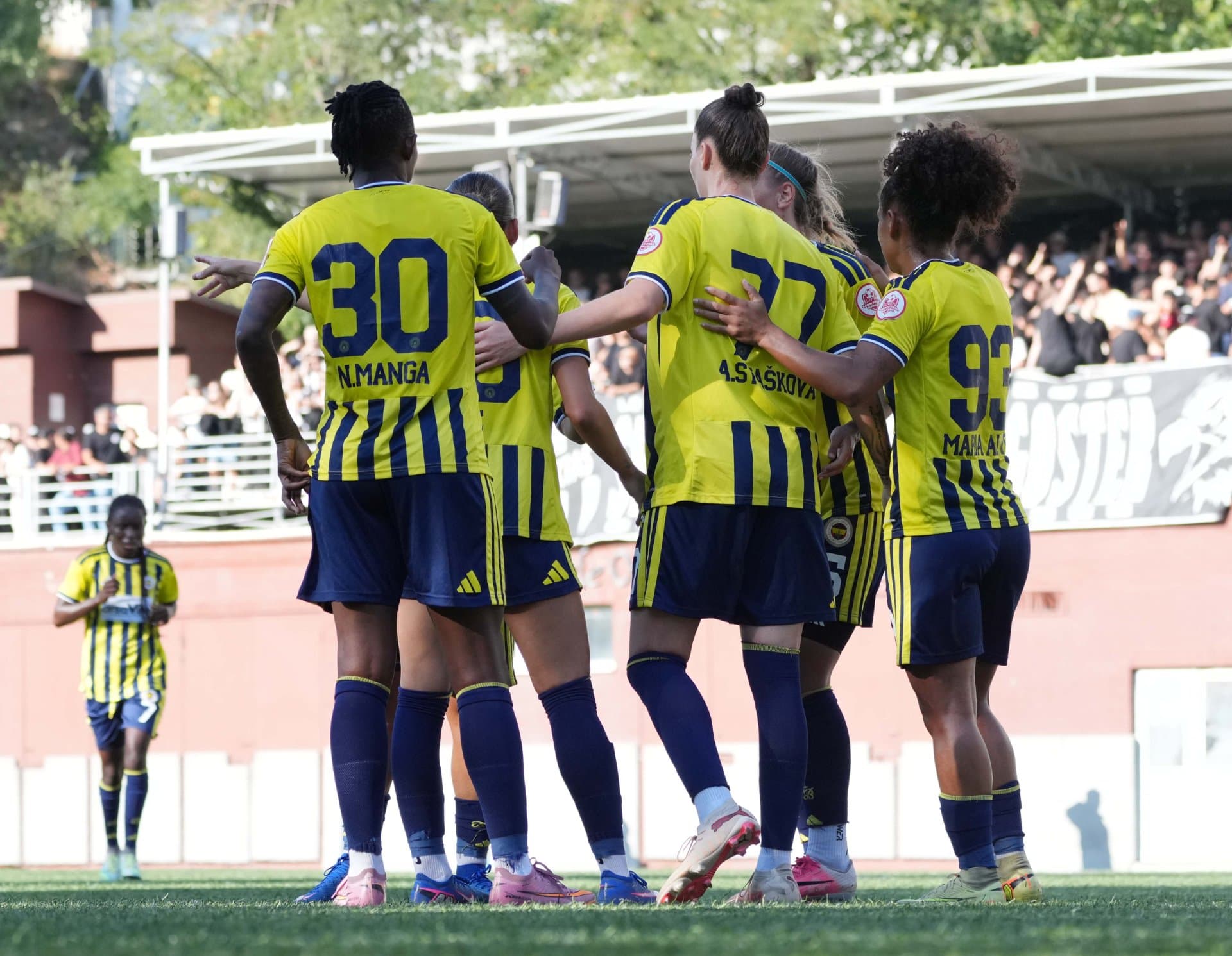 Beşiktaş 0-3 Fenerbahçe arsaVev — 6