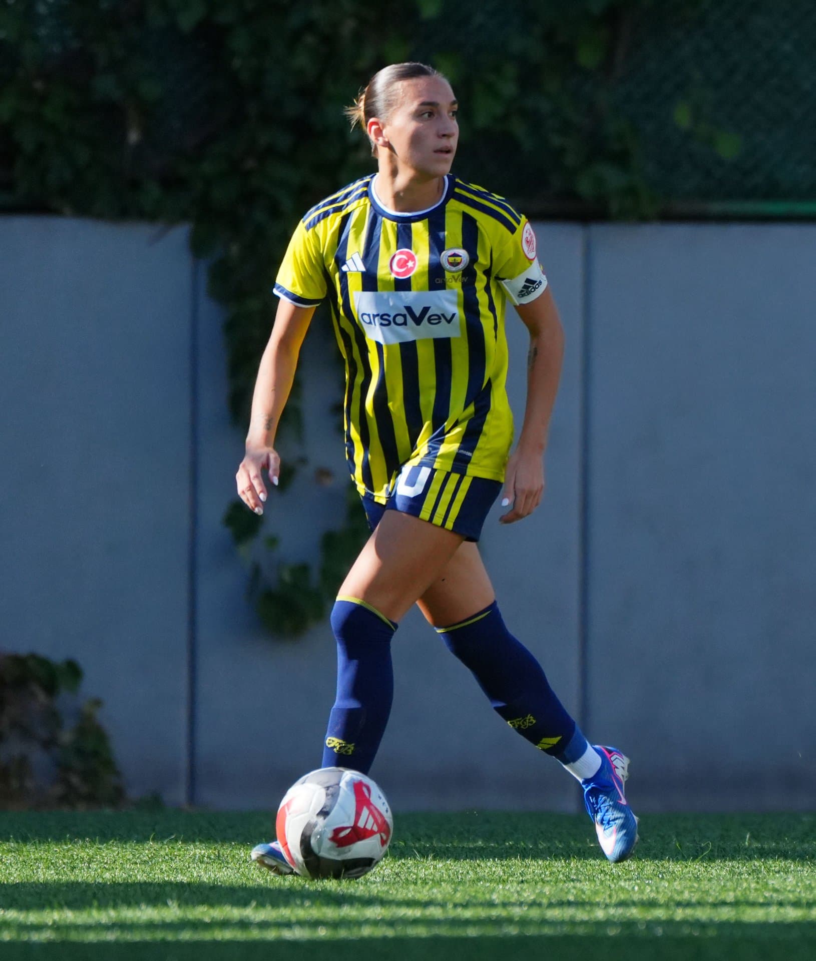 Beşiktaş 0-3 Fenerbahçe arsaVev — 7